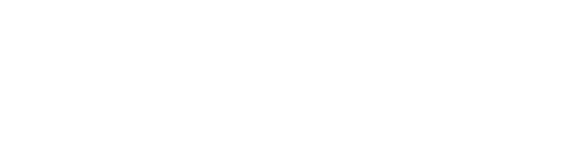 Porsche Holding Careers Logo